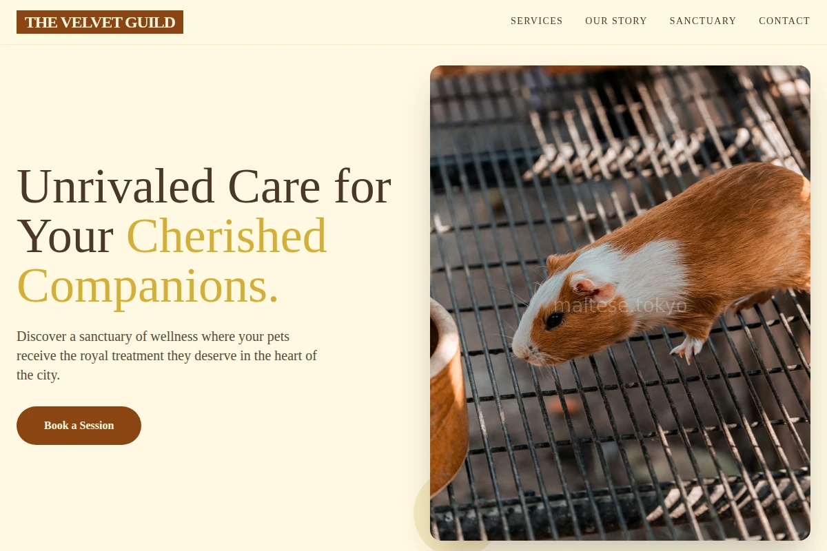 Plush Animal Care