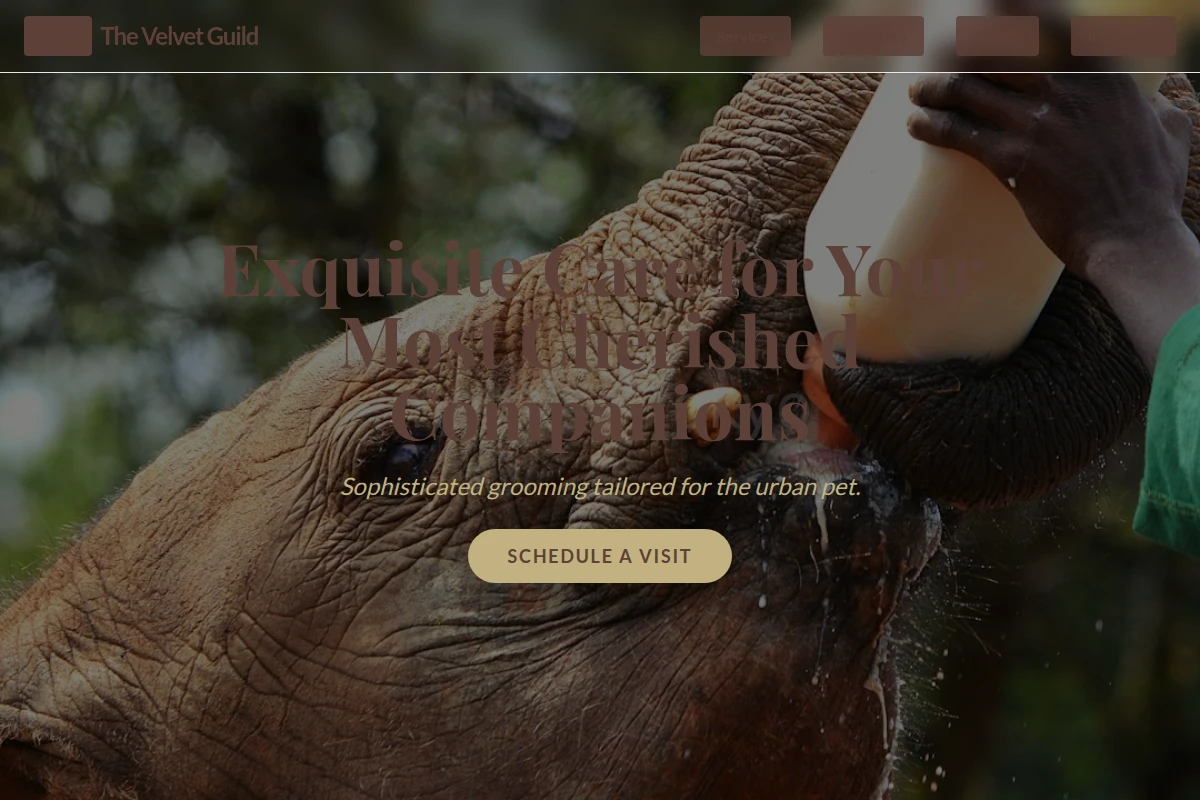 Groom Animal Care