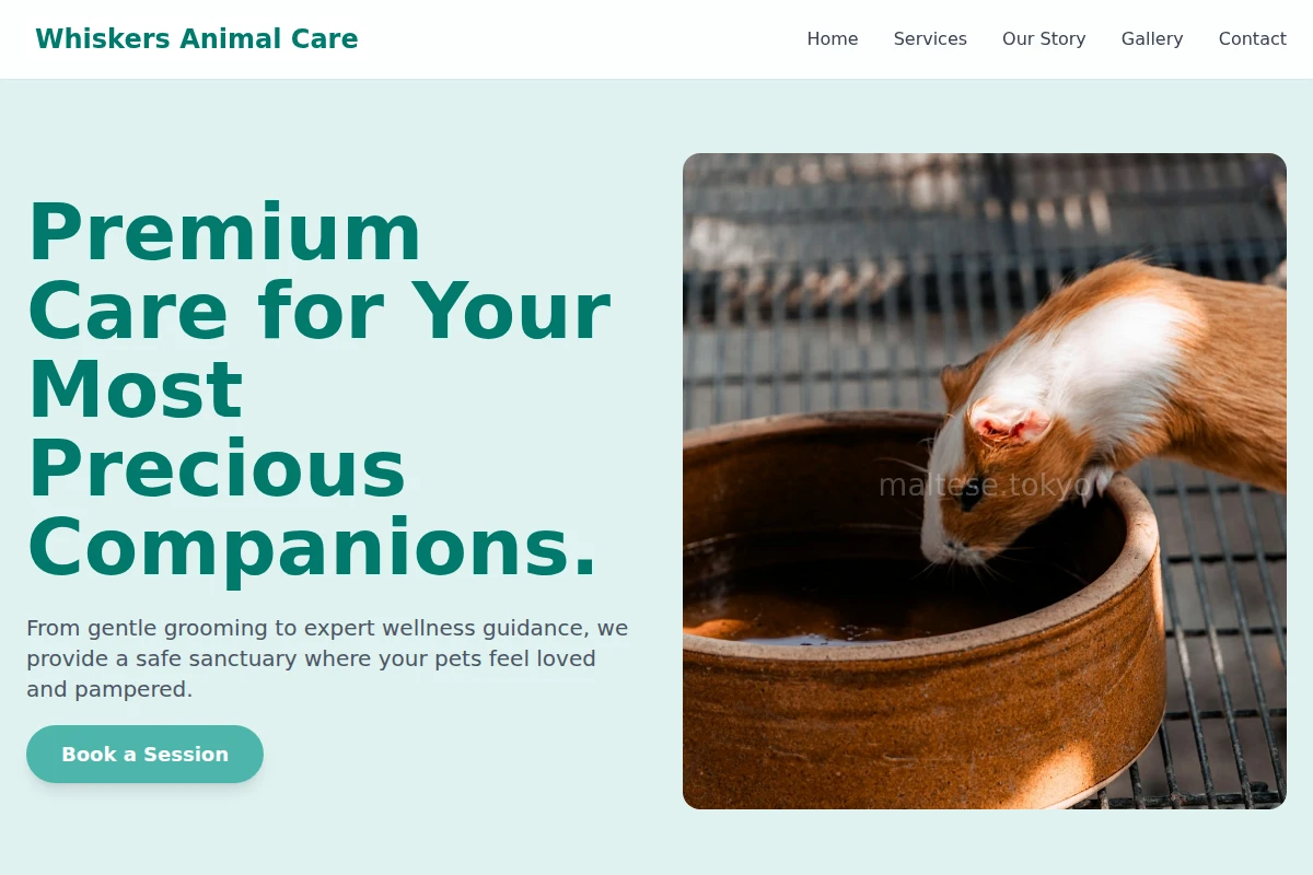 Whiskers Animal Care