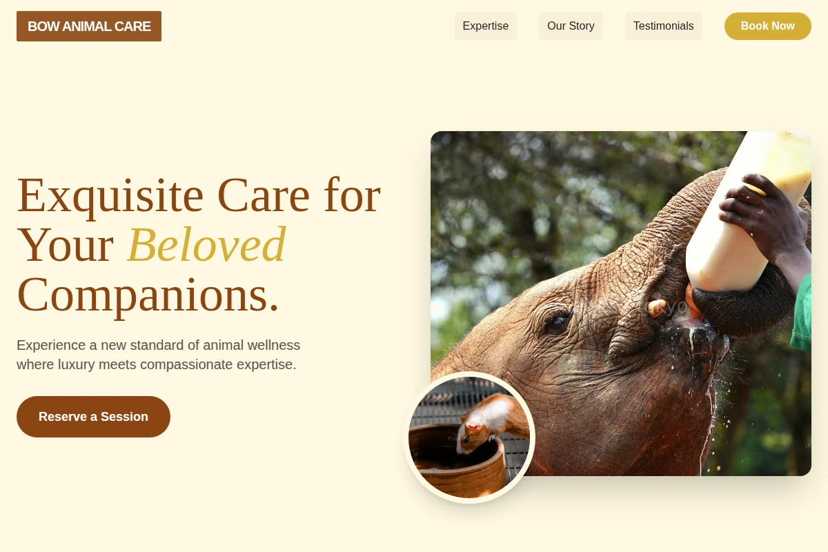 Bow Animal Care