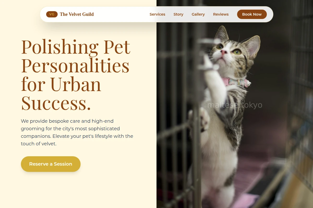 Tail Animal Care