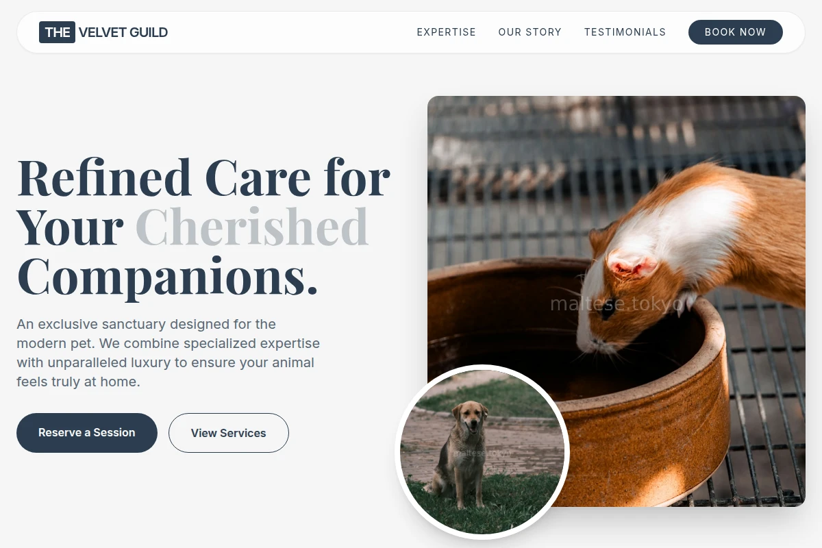 Tail Animal Care
