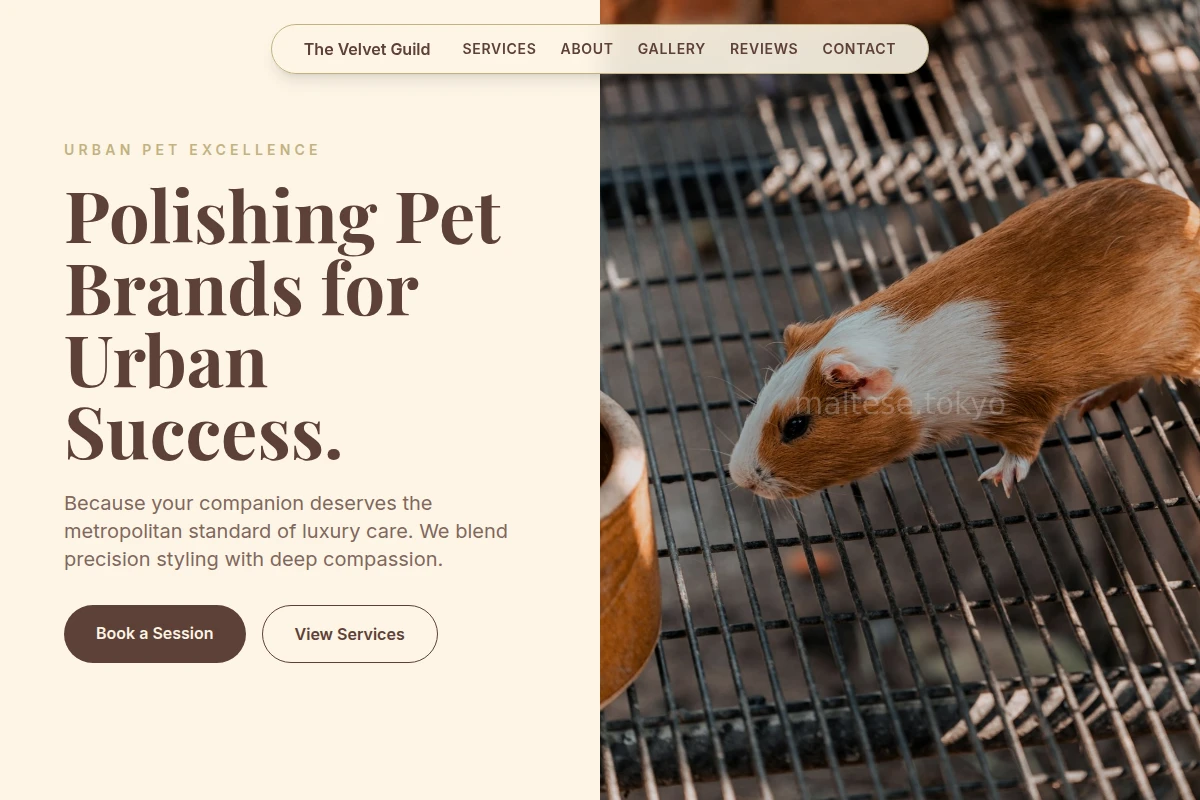 Groomer Animal Care