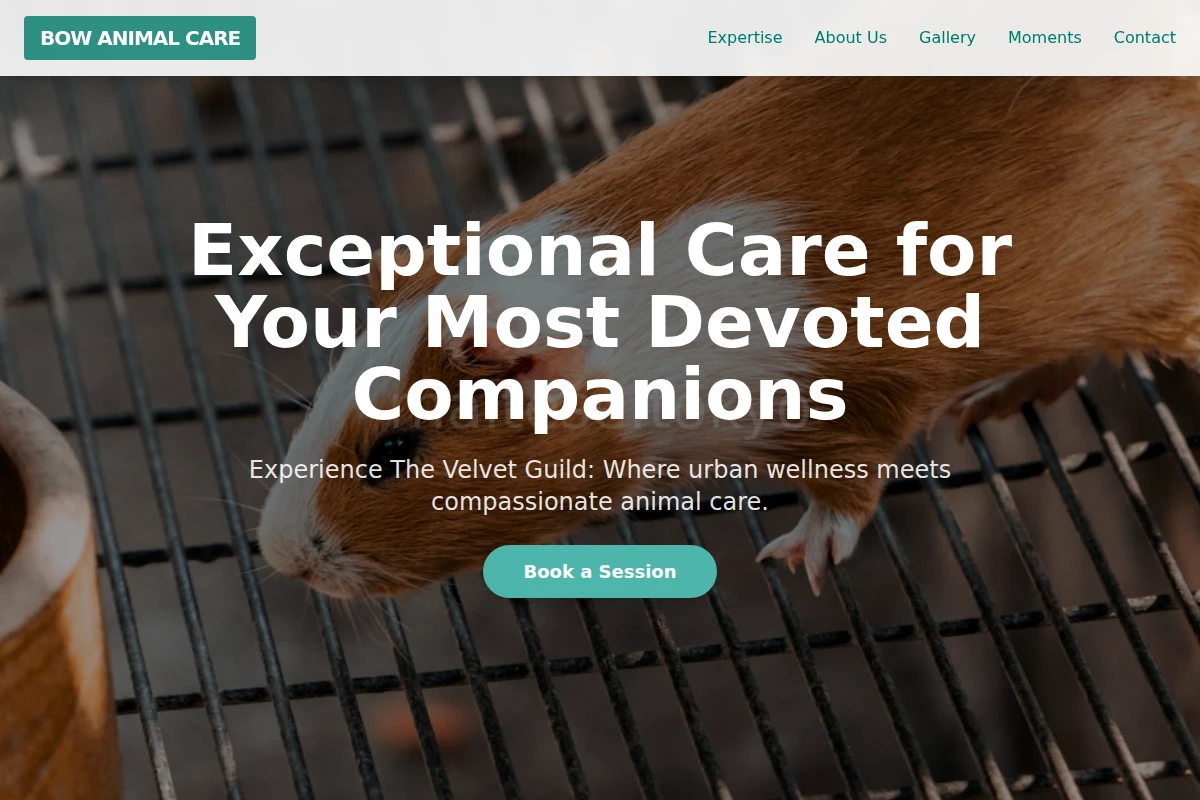 Bow Animal Care