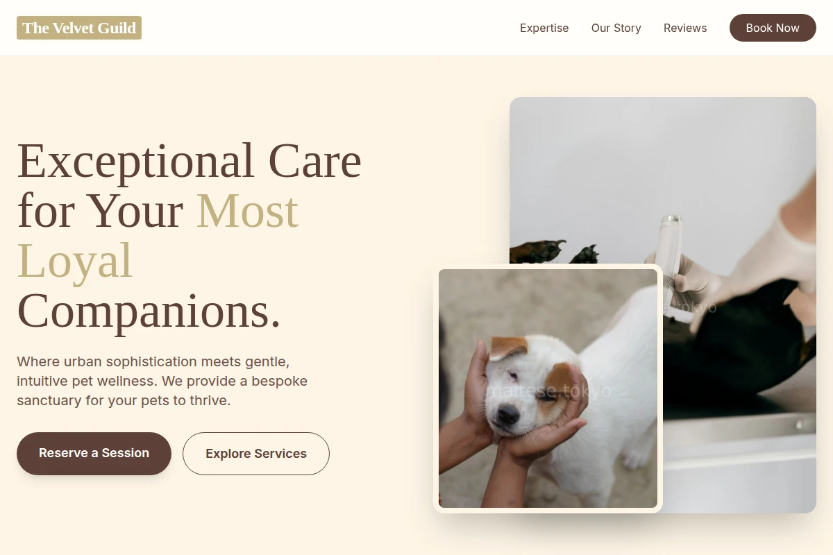 Collar Animal Care