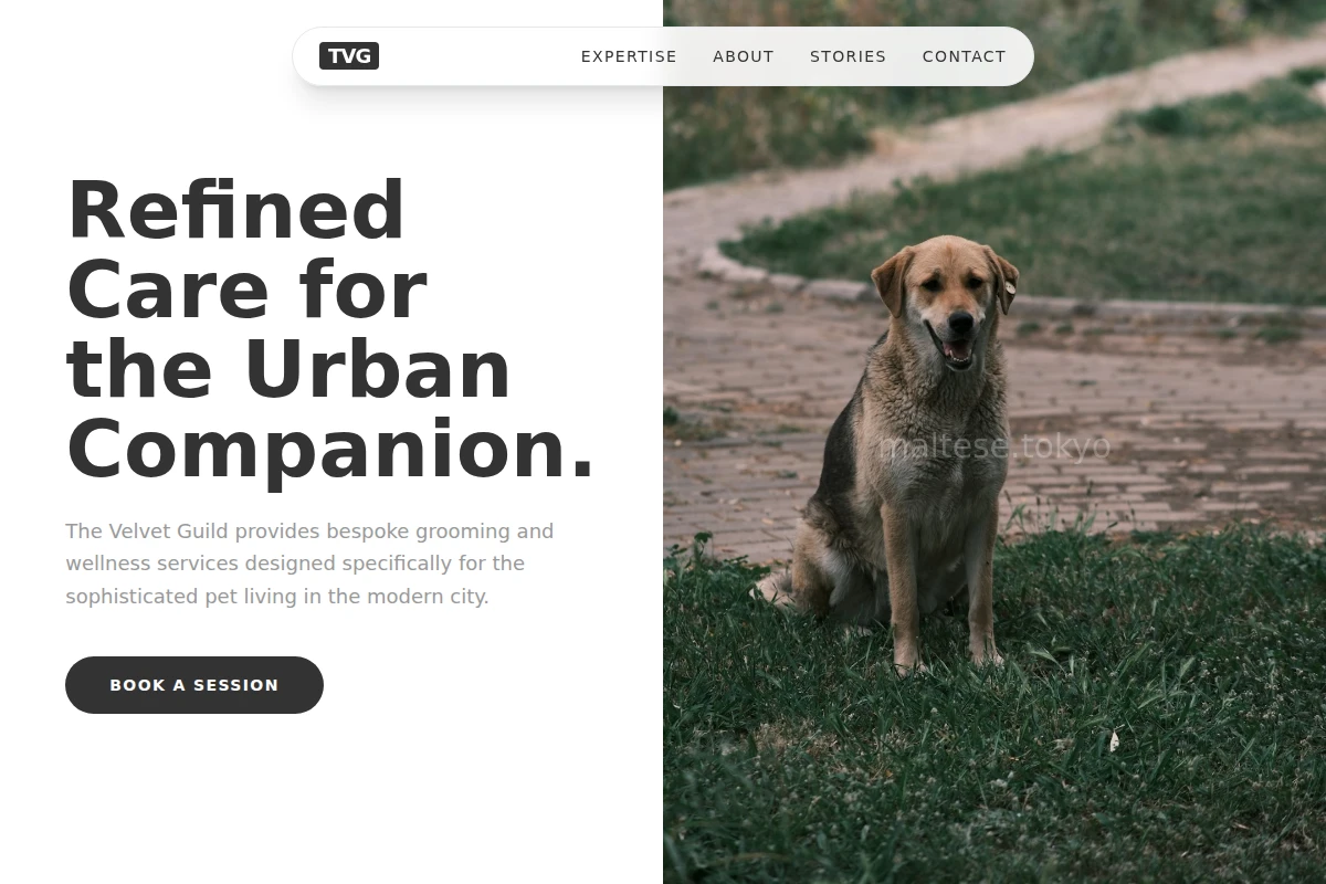 Chic Animal Care