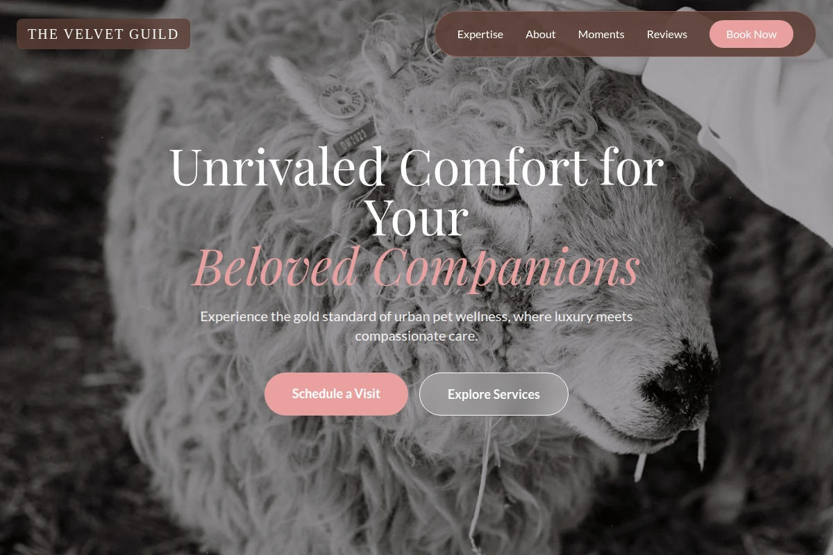Spaw Animal Care