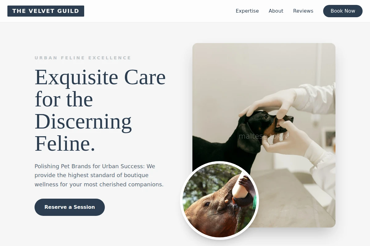 Feline Animal Care
