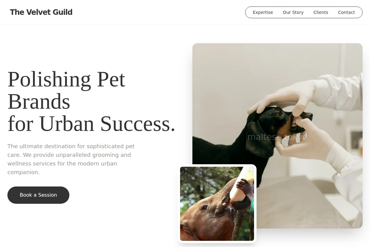 animal-care