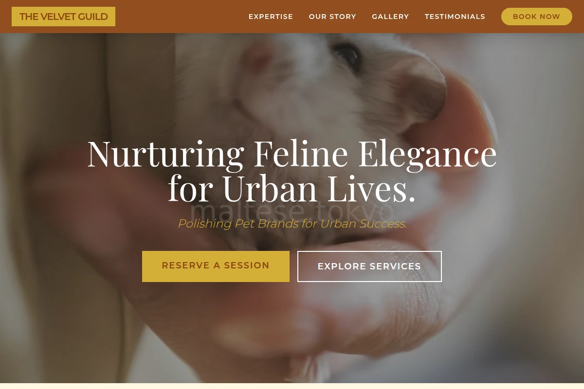 Feline Animal Care