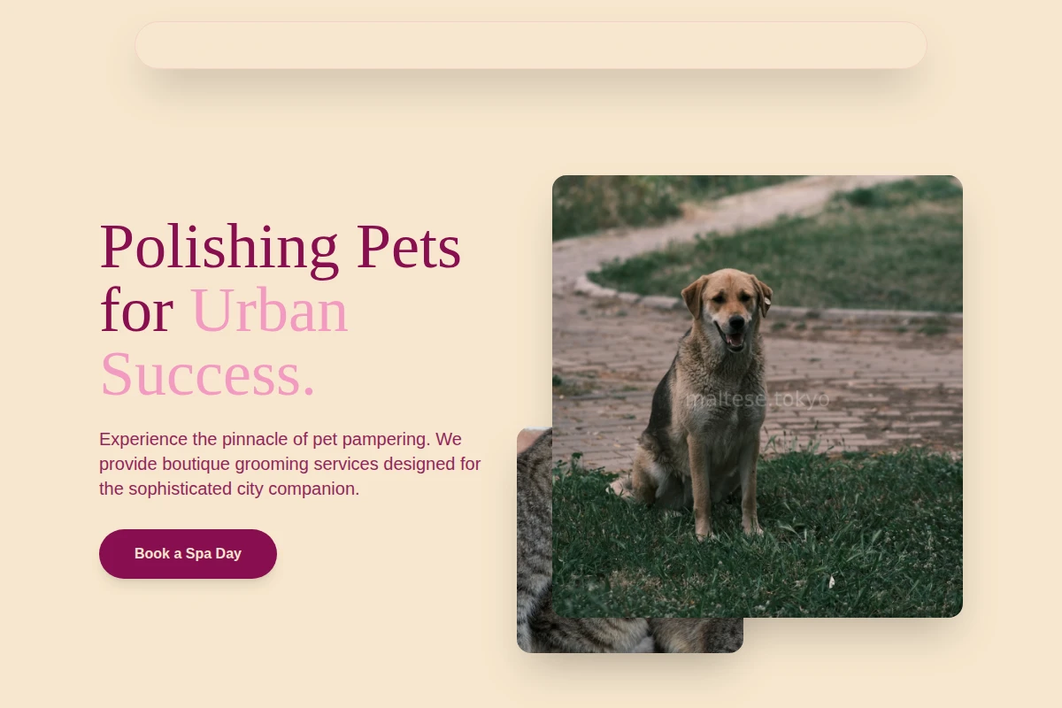 Groomer Animal Care