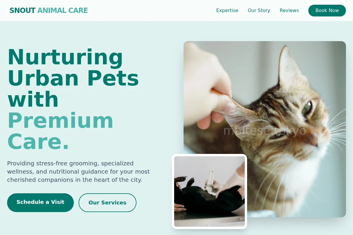 Snout Animal Care