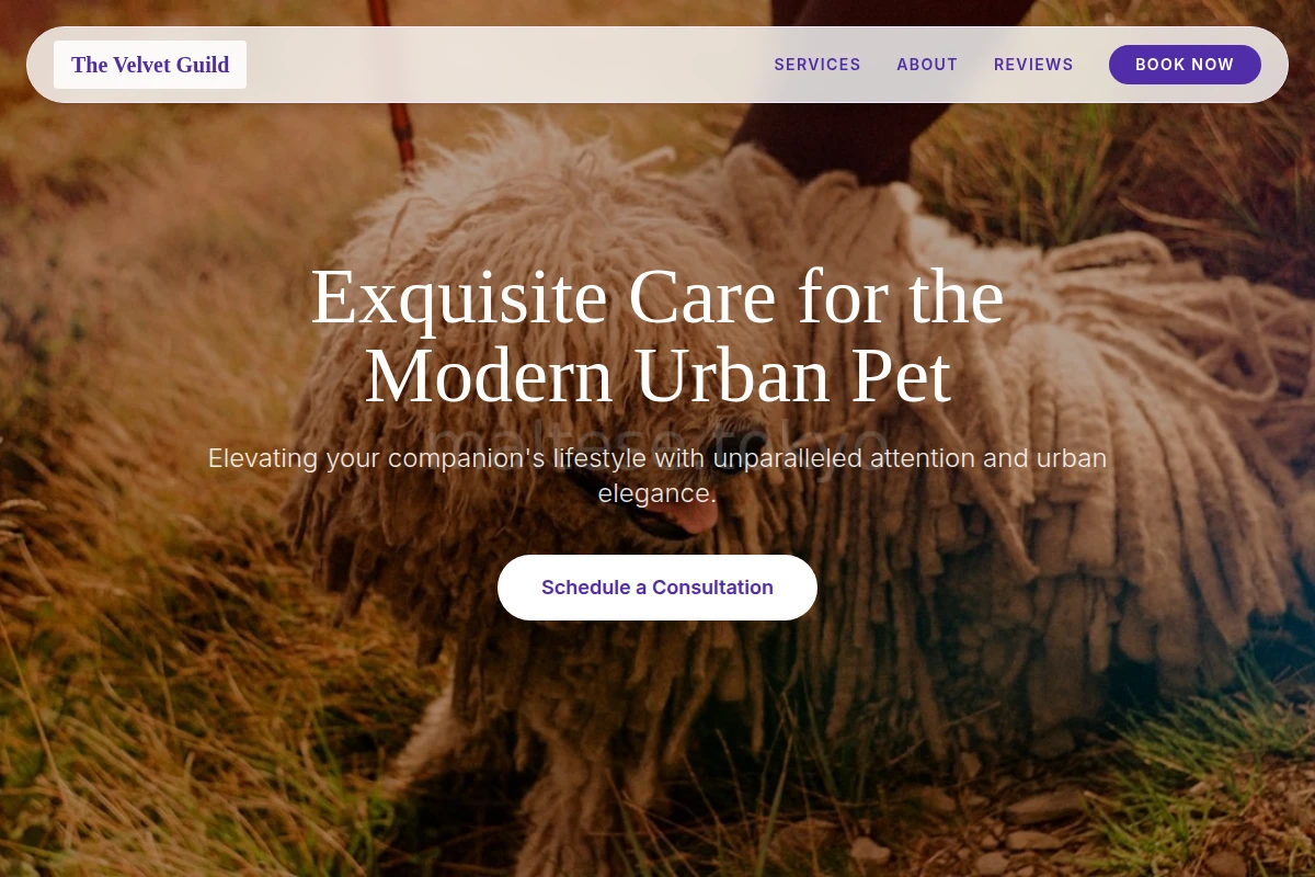 Bow Pet Services