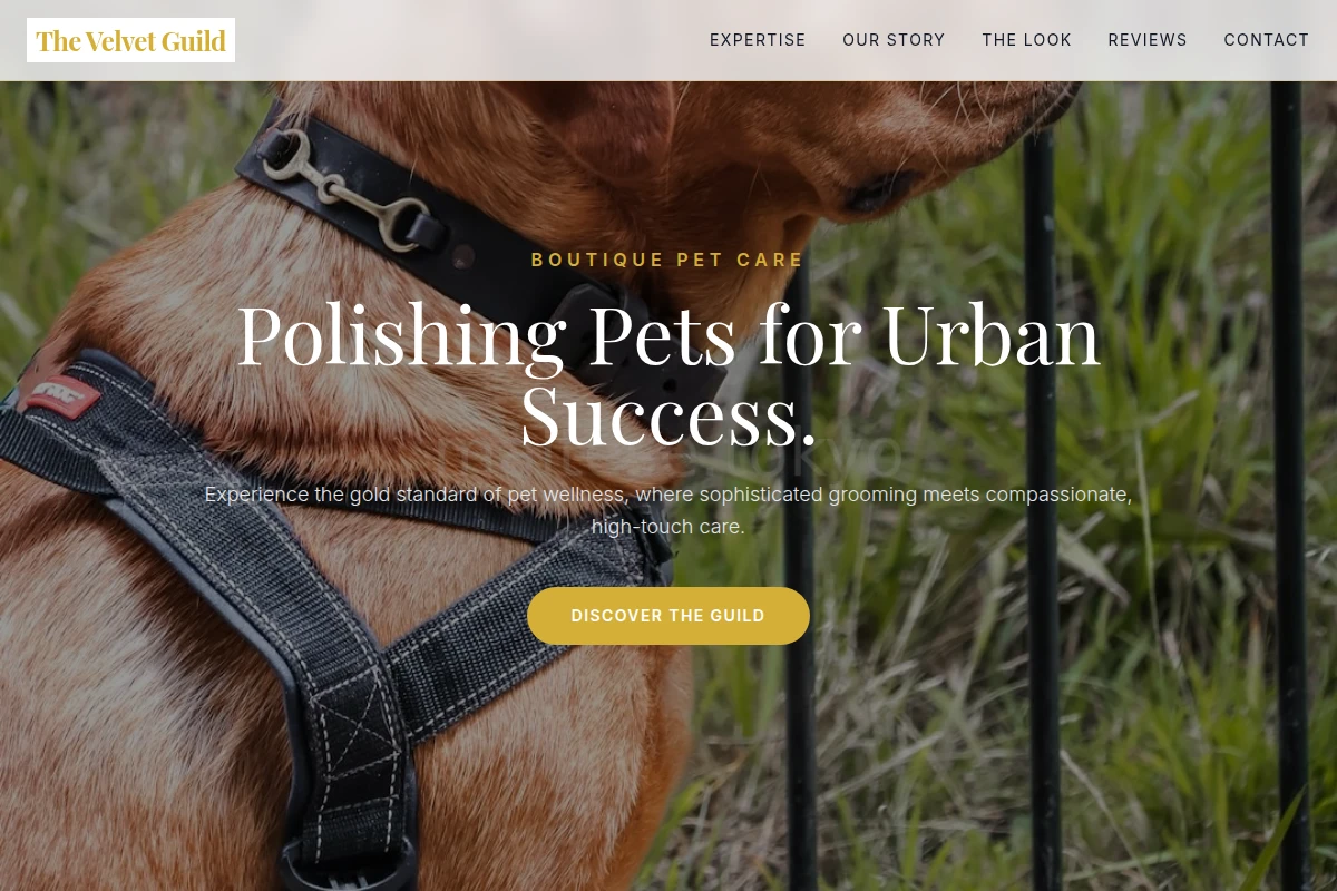 Velvet Pet Services