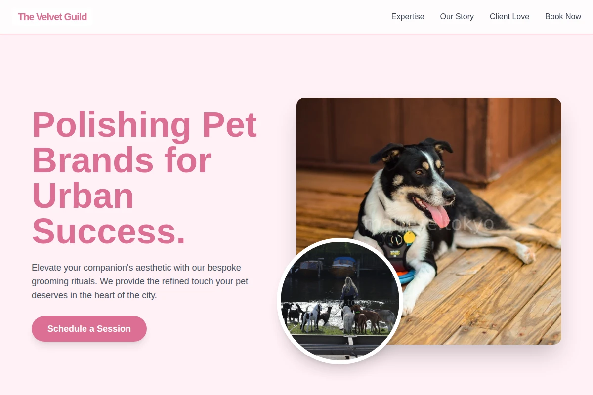 Brush Pet Services