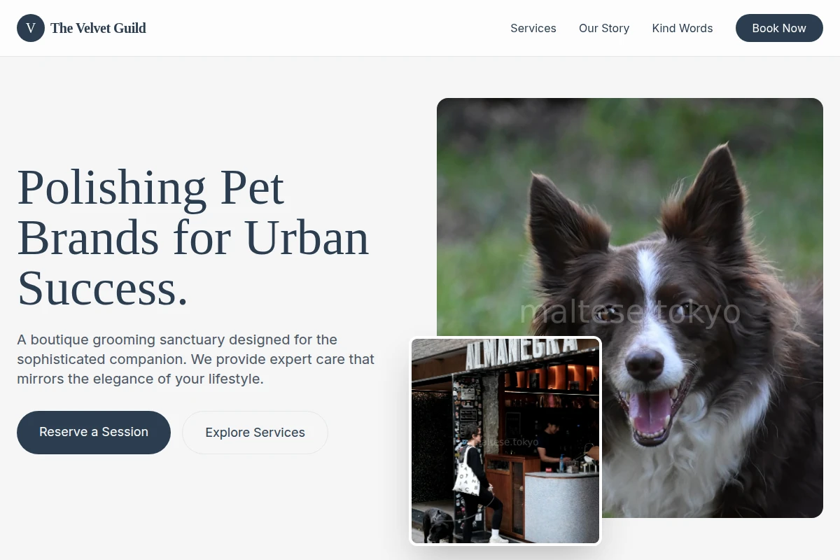 Brush Pet Services