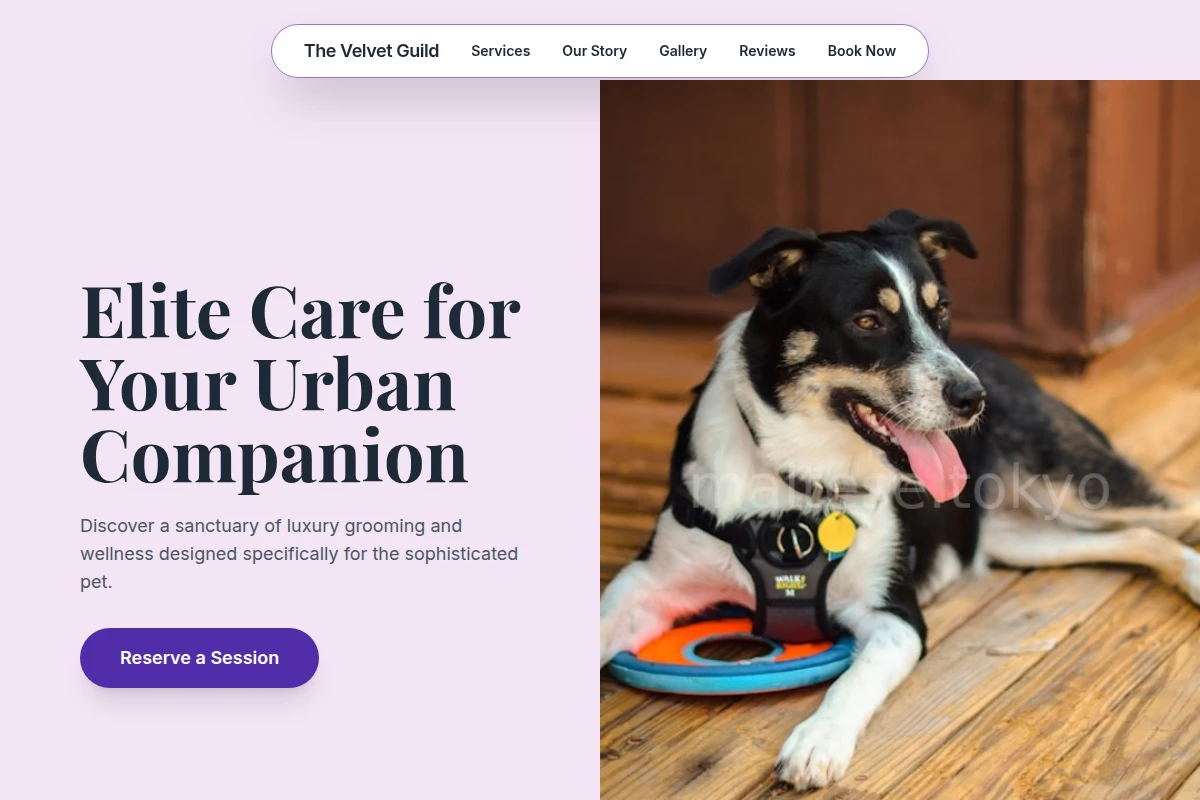 Collection Pet Services