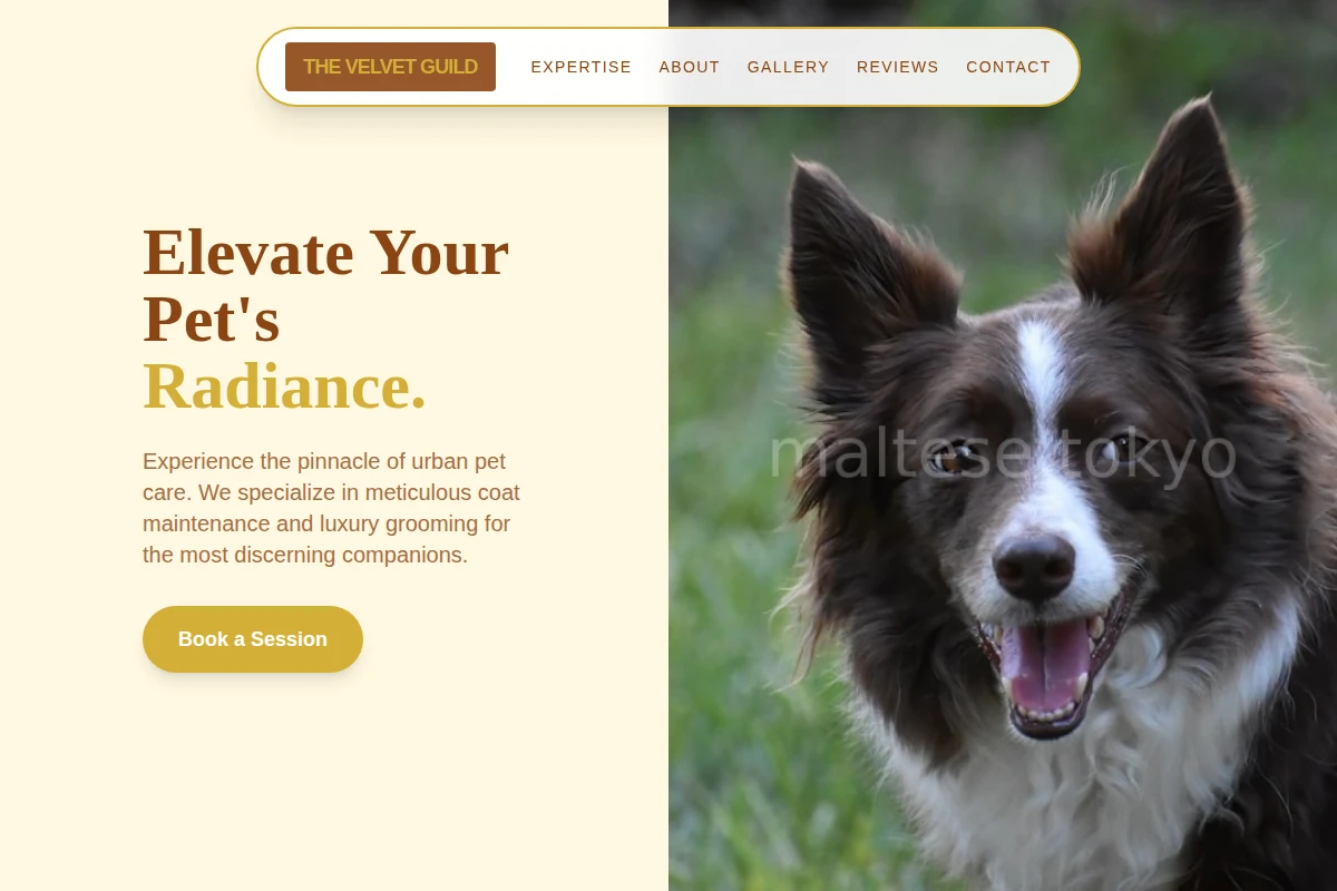 Coat Pet Services