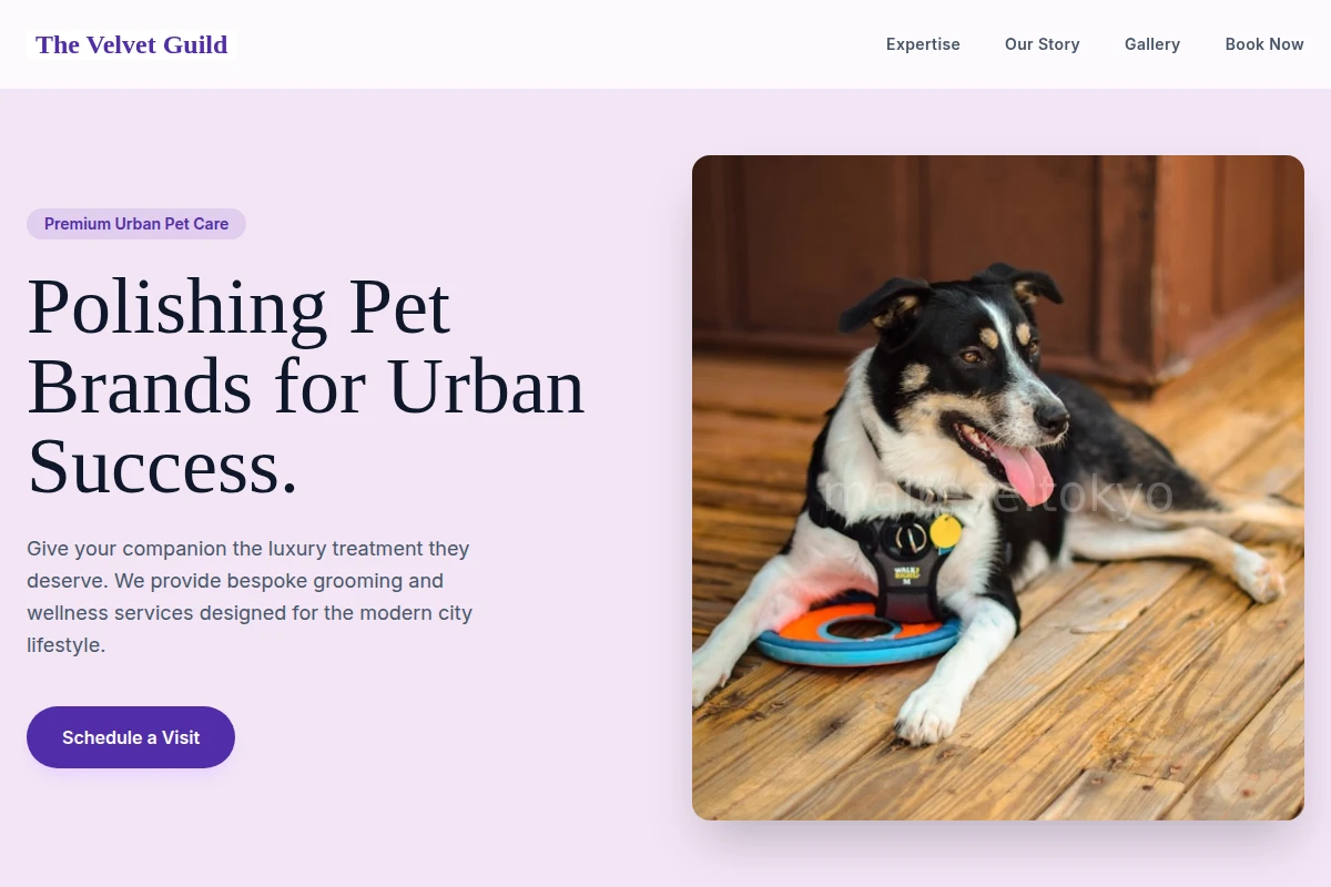 Petal Pet Services