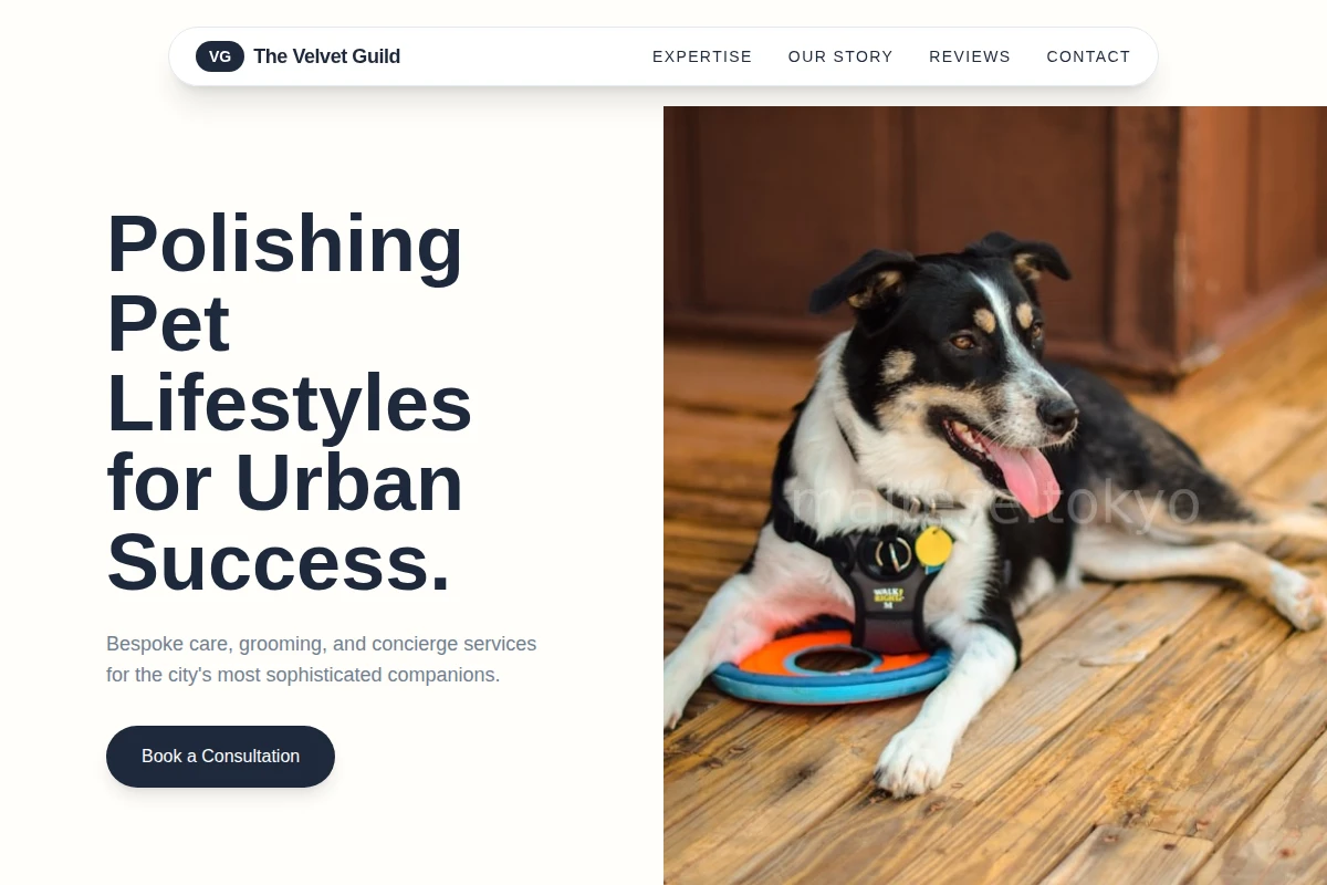 Silk Pet Services