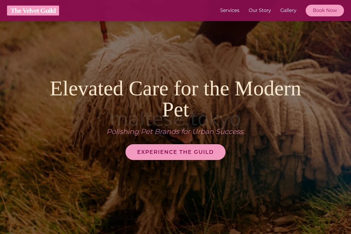 Studio Pet Services