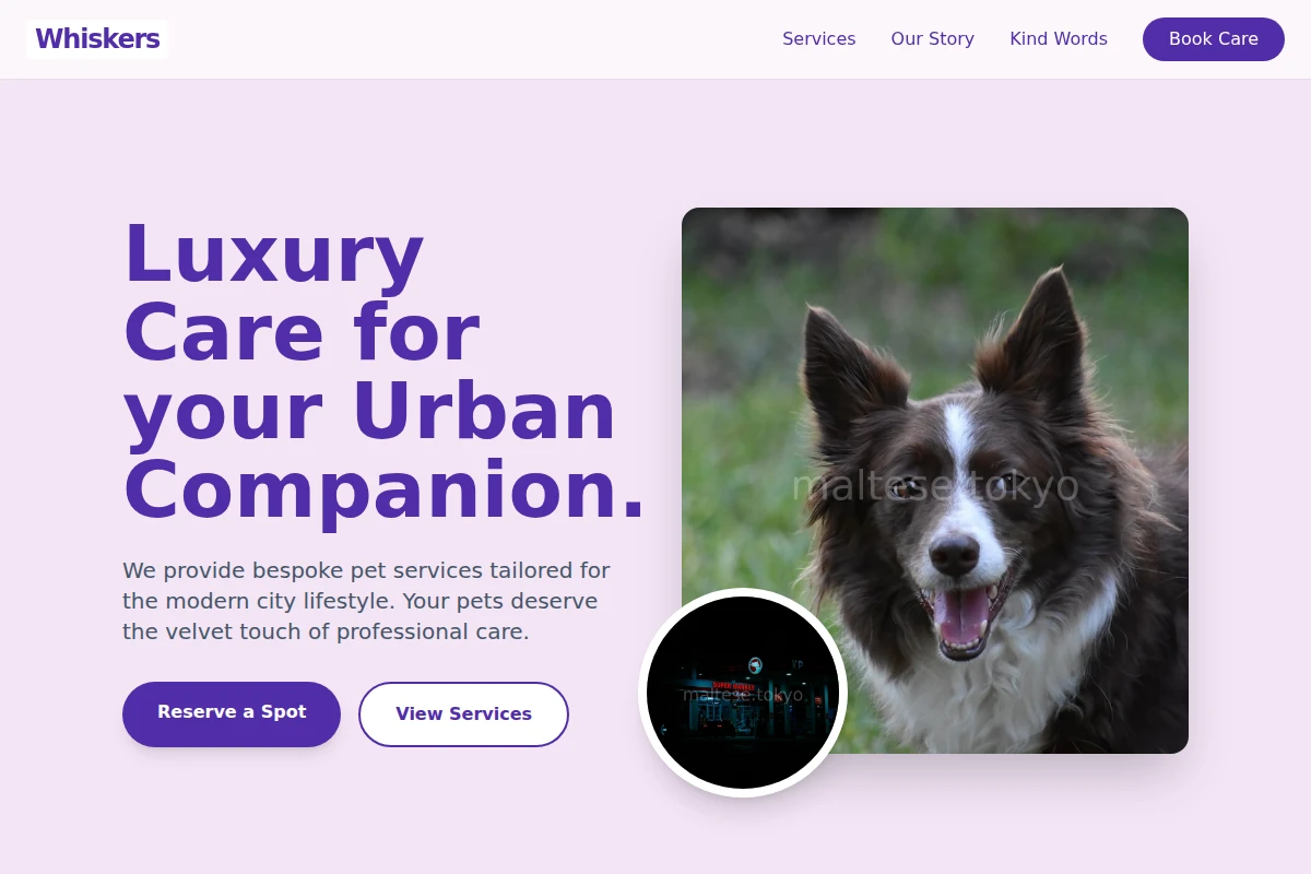 Whiskers Pet Services