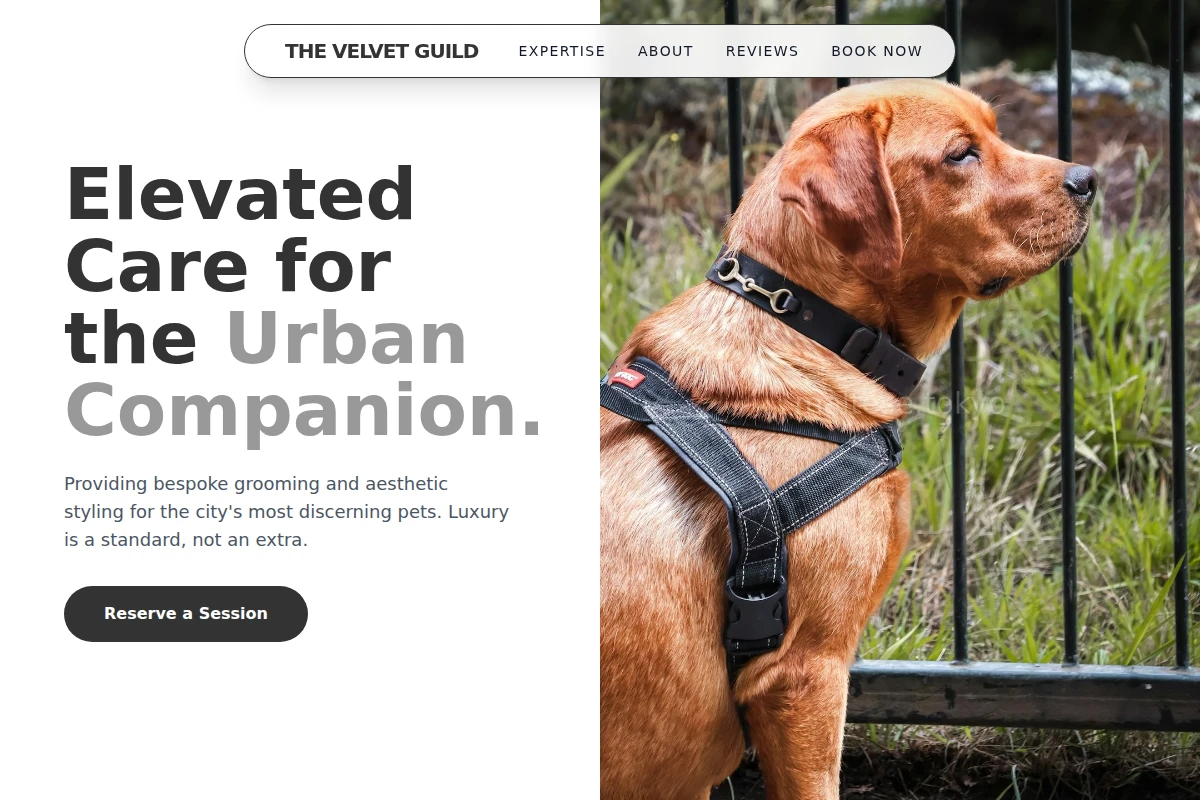 Posh Pet Services