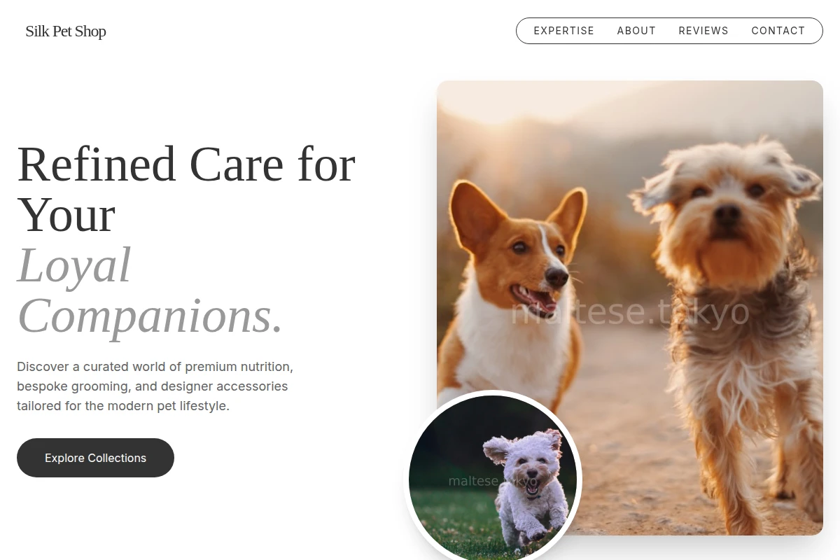 Silk Pet Shop