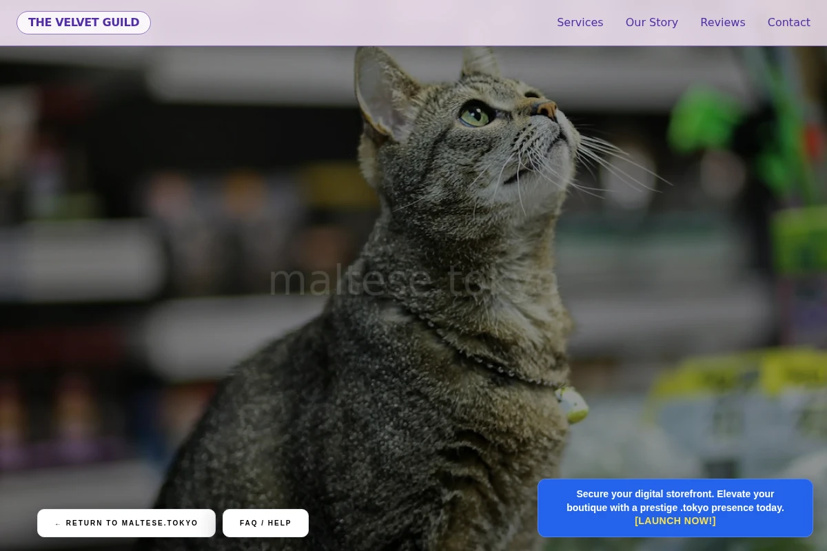 Boutique Pet Shop