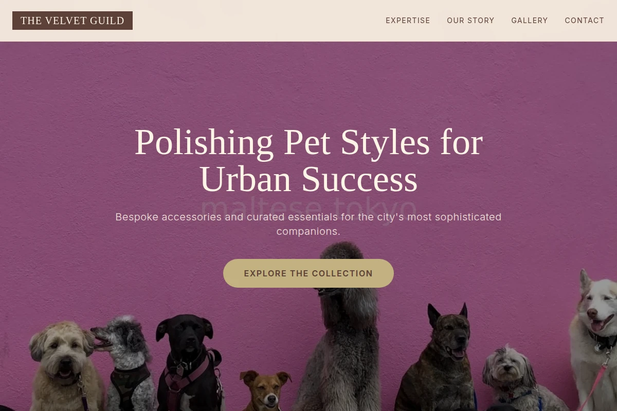 Collar Pet Shop