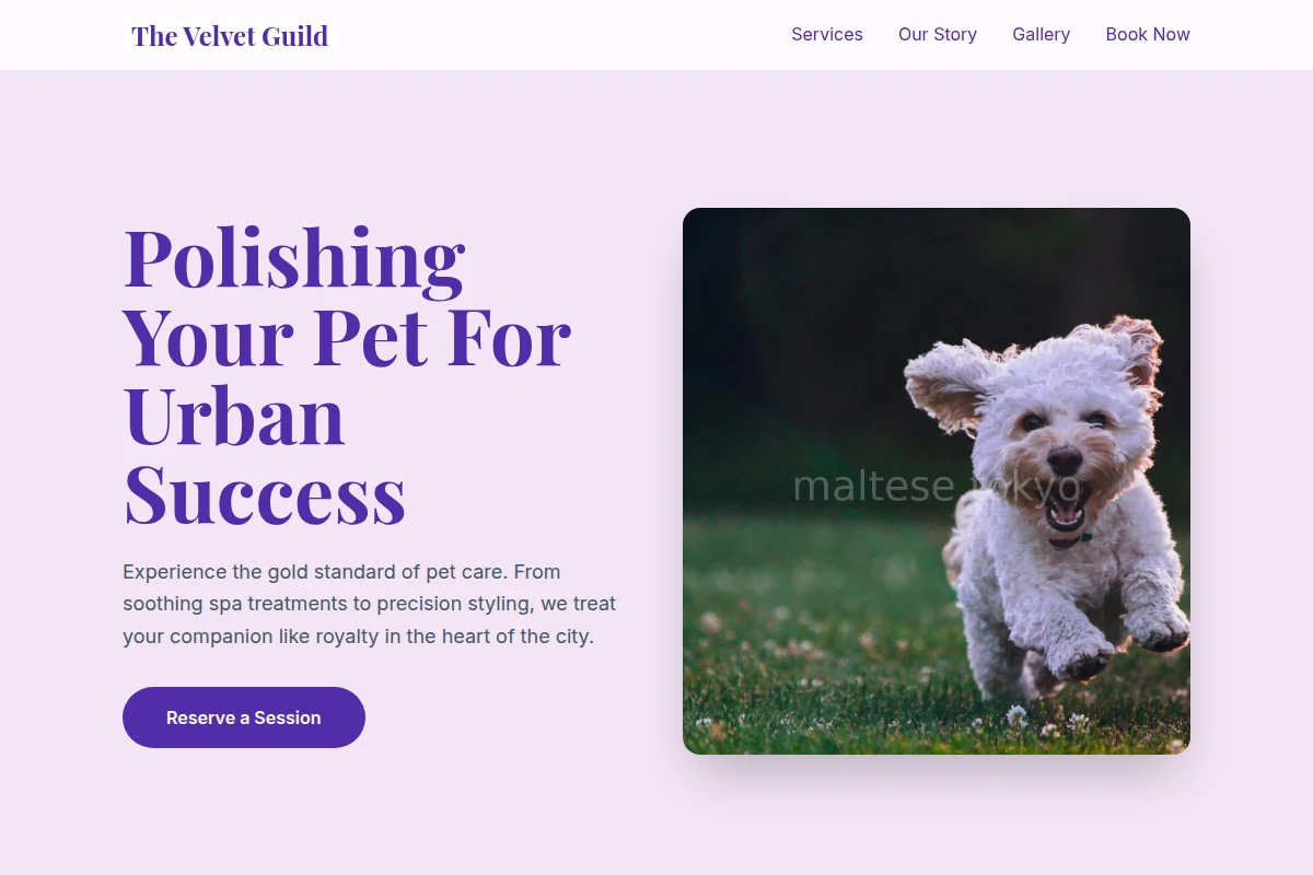 Groomer Pet Shop
