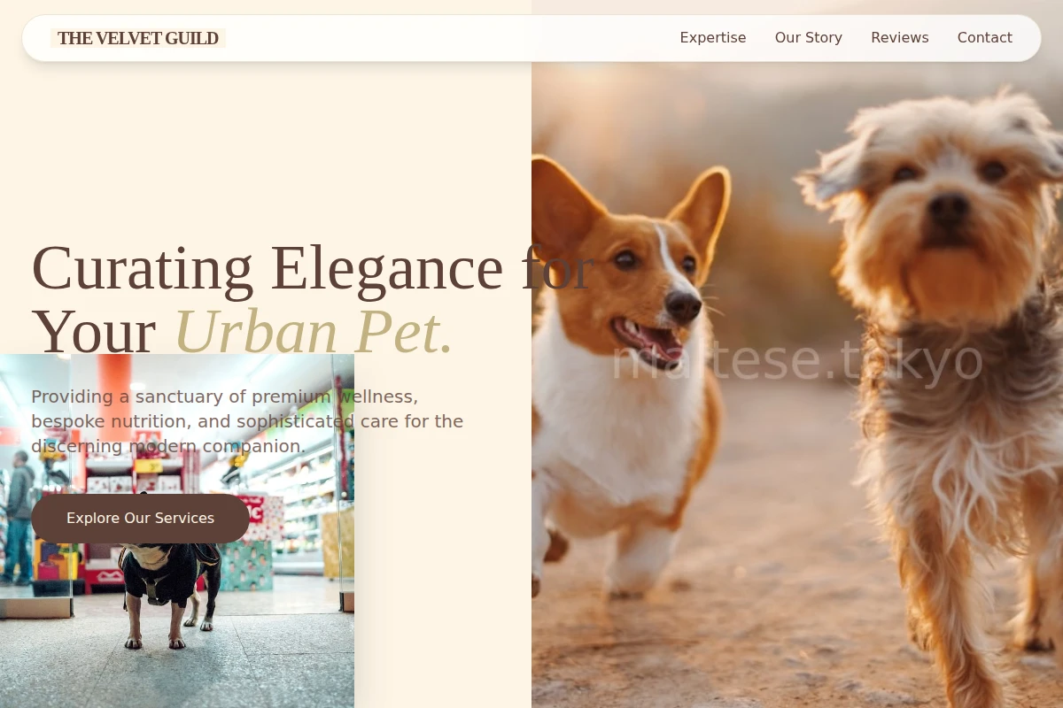 Gallery Pet Shop