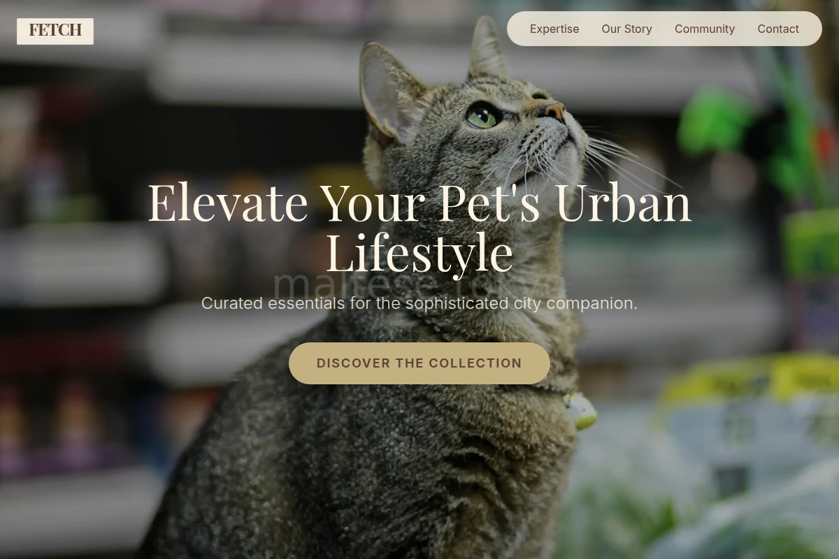 Fetch Pet Shop