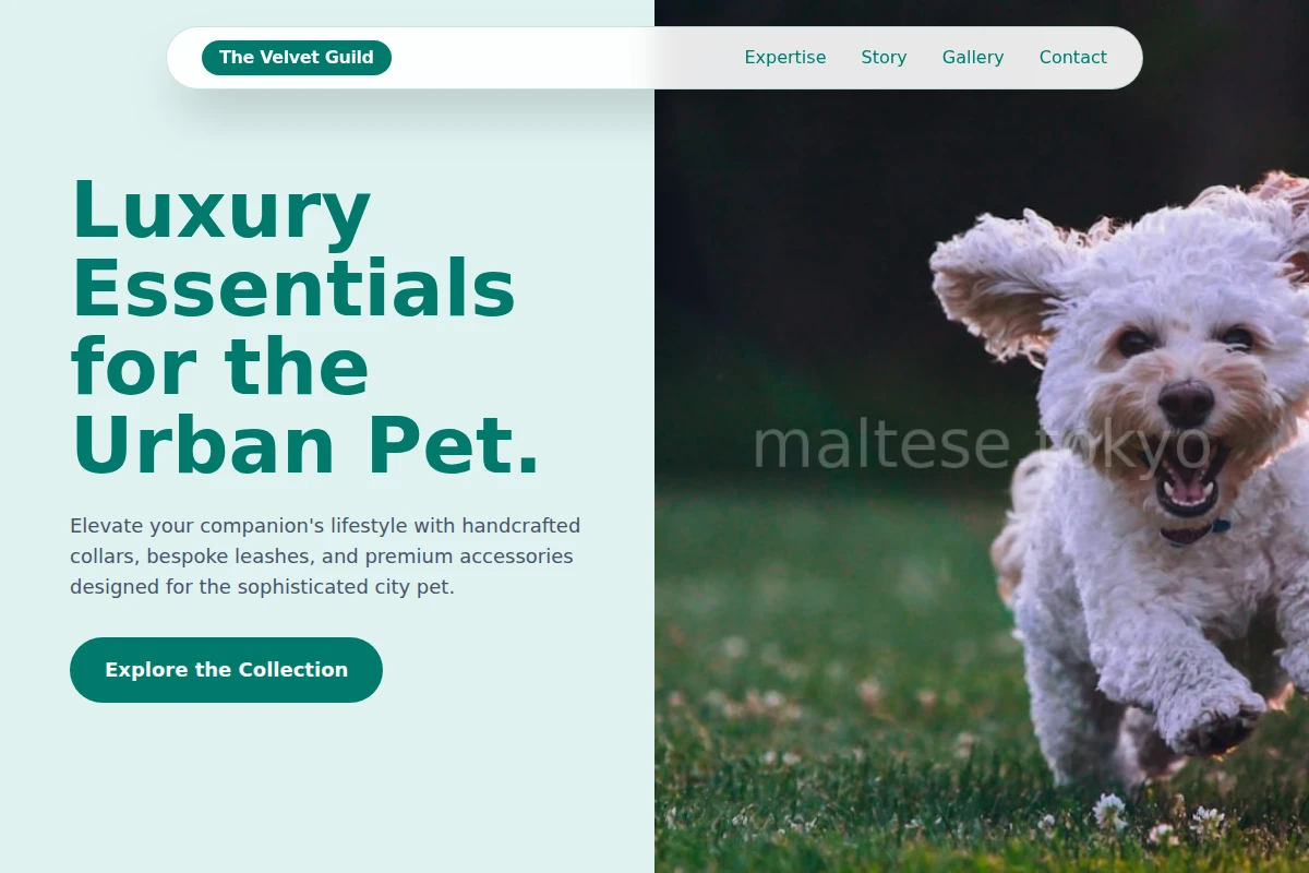 Collar Pet Shop