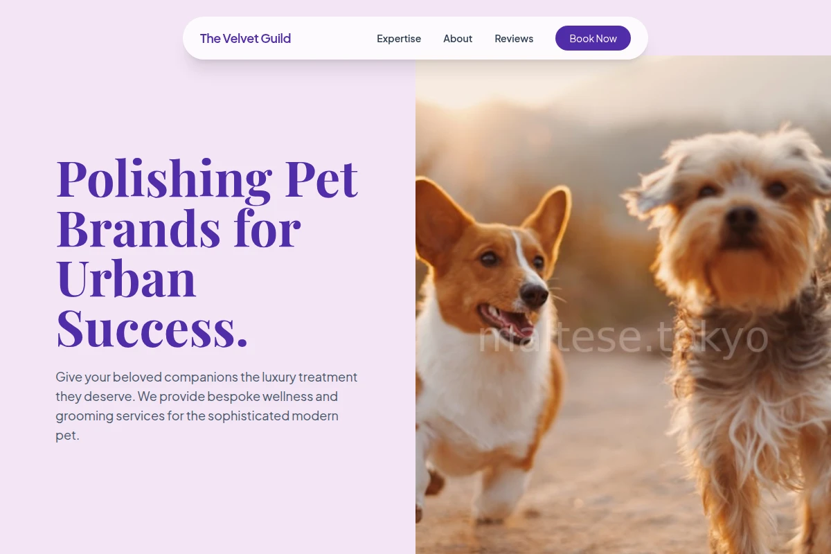 Silk Pet Shop